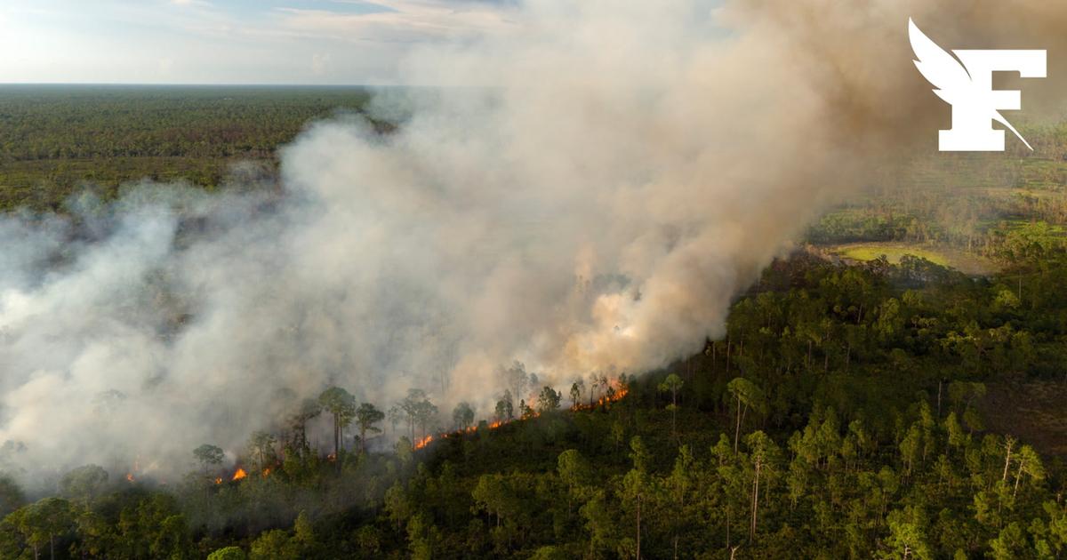 Incendies : les feux sont éteints, fin des perturbations sur l'axe TGV Sud-Est