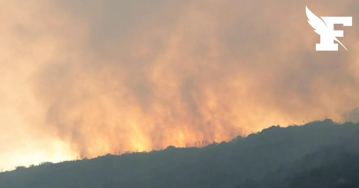 Les images de l'important incendie qui menace une ville touristique dans les Andes colombiennes