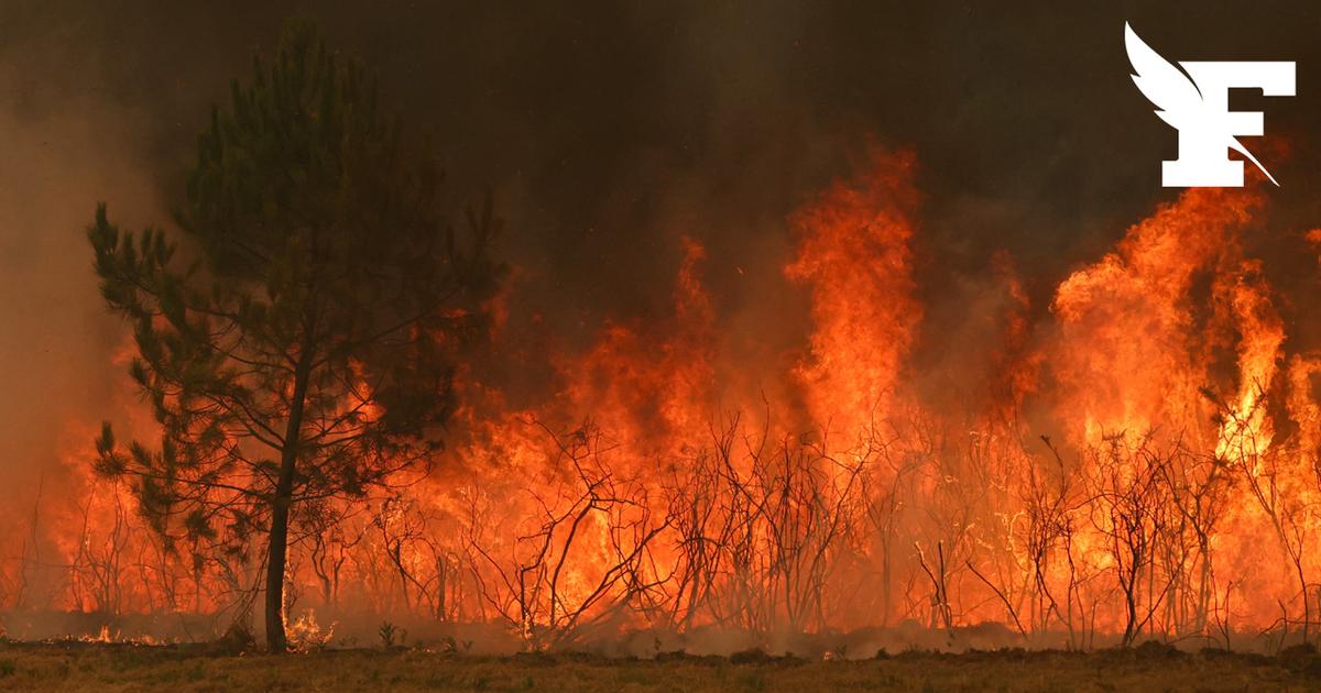 Industrie de défense, spatial, nucléaire: en Gironde, les sites sensibles sous haute surveillance face aux incendies
