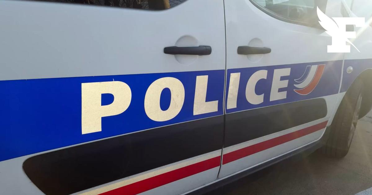 Près de Marseille, un homme soupçonné d'avoir violé des chèvres et des moutons jugé à partir de lundi