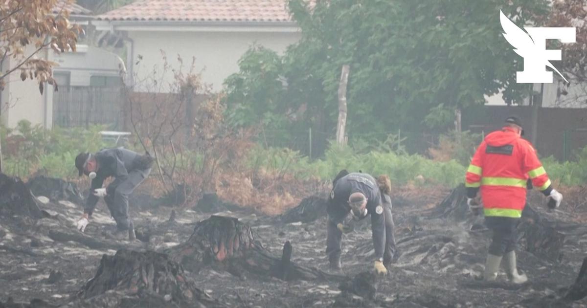 Gironde : après le mégafeu, la menace des obus au Porge