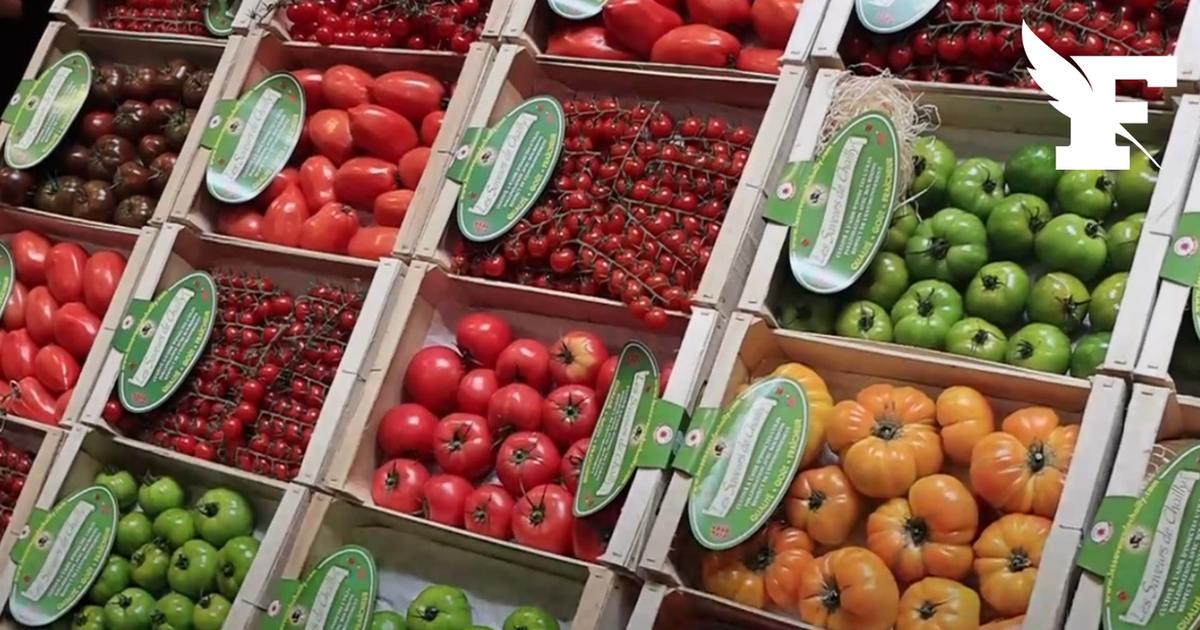 Sécheresse : en soutien aux agriculteurs, les supermarchés seront plus tolérants sur la taille et le visuel des fruits et légumes