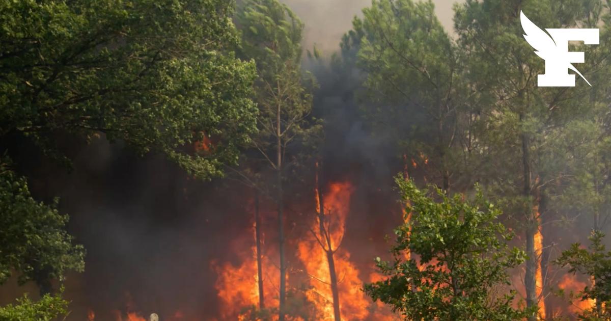 Incendies en France : le point sur la situation ce lundi dans les principaux foyers à risque