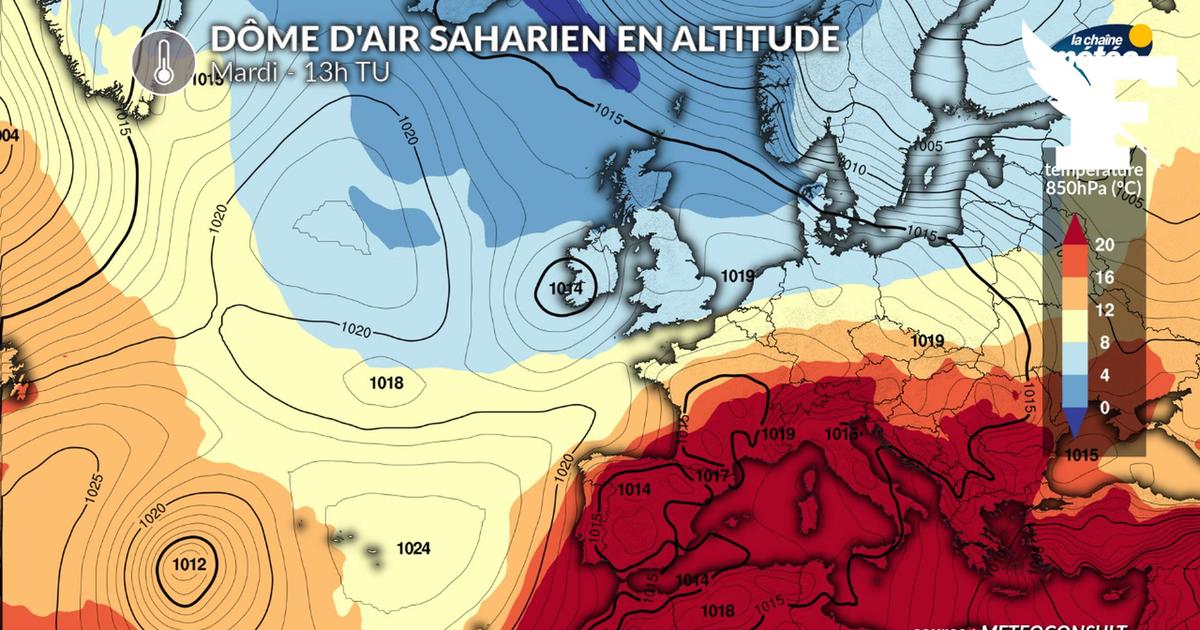 Canicule: une vague de chaleur va toucher la France dès mardi