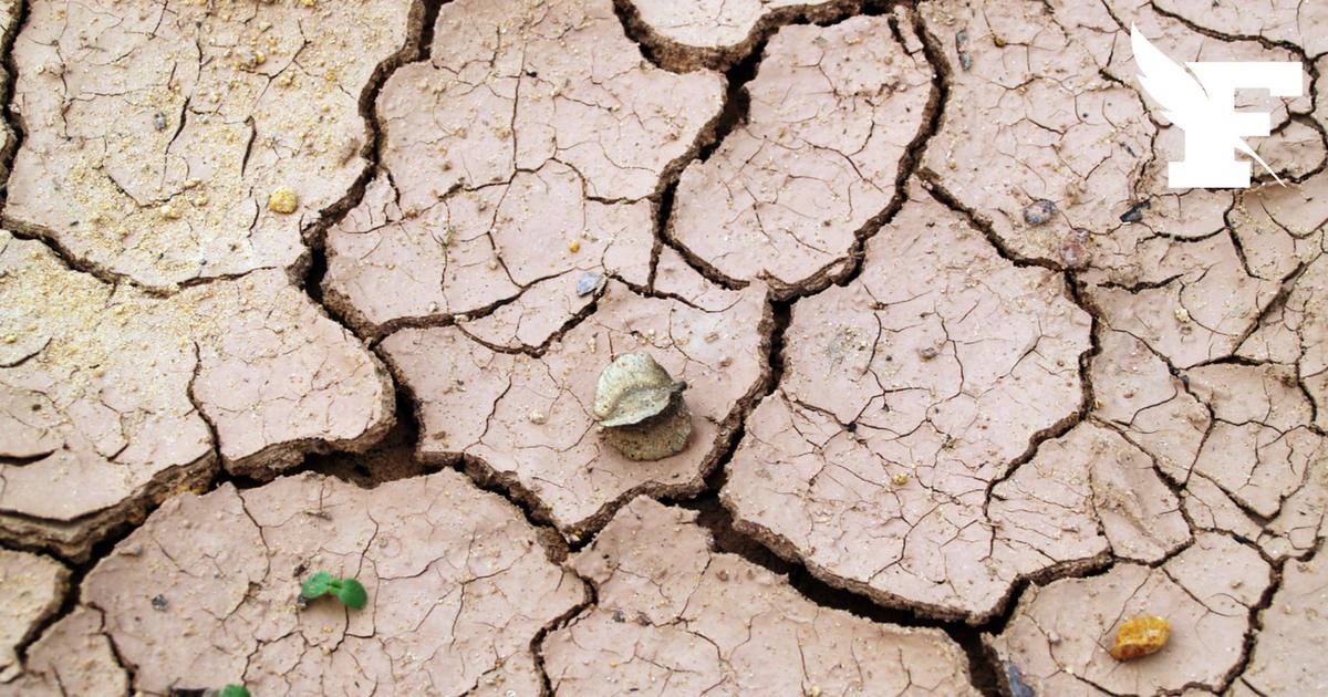 «Une situation très exceptionnelle» : le canal de Bourgogne menacé de fermeture à cause de la sécheresse
