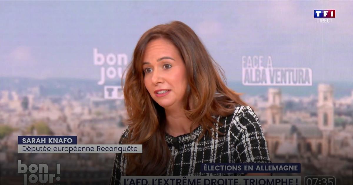 «Je sais reconnaître une vague occidentale», assume Sarah Knafo après la victoire de l'AfD en Allemagne