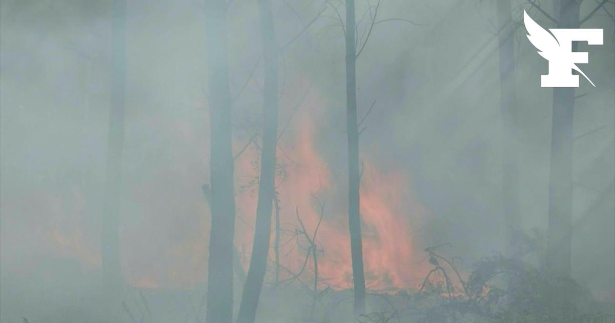 Incendies en Gironde: trois hommes interpellés pour mise en danger de la vie d'autrui