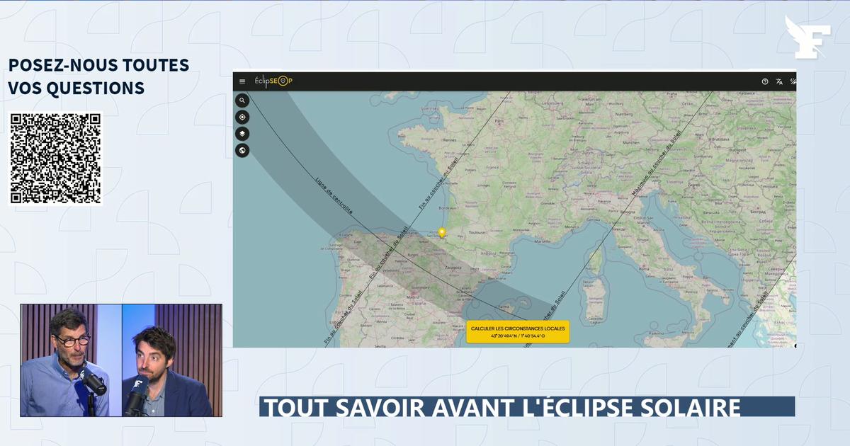 Passoire, feuilles d'arbre, chambre noire: ces astuces pour constater l'éclipse solaire si on a pas de lunettes