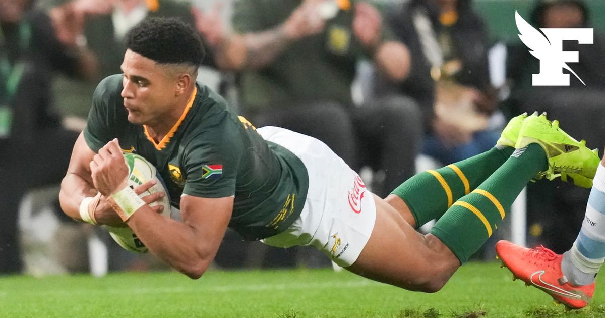 Les Springboks ont une nouvelle arme fatale, Sacha Feinberg-Mngomezulu