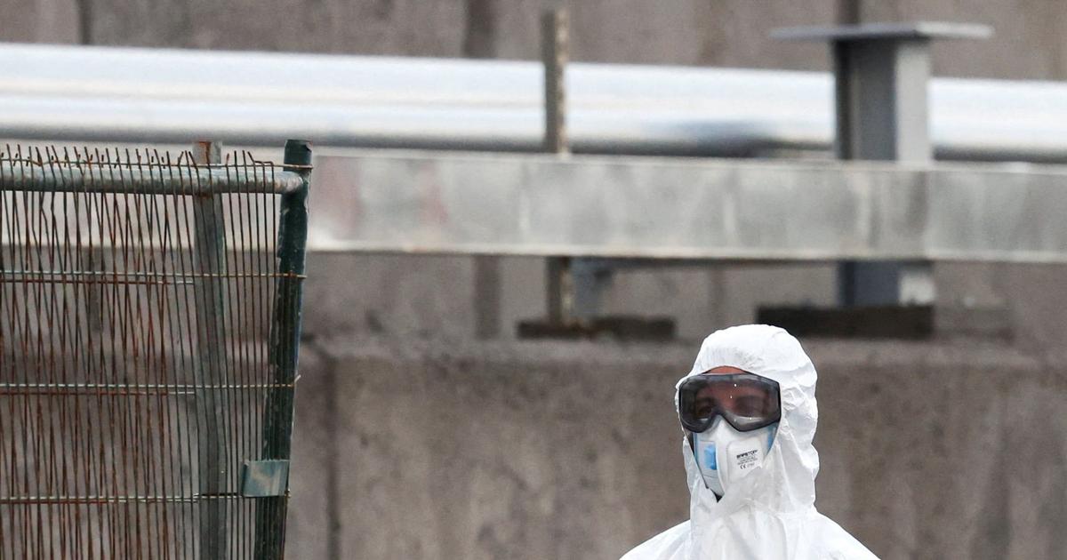 Hantavirus: les passagers du MV Hondius quittent le navire aux Canaries
