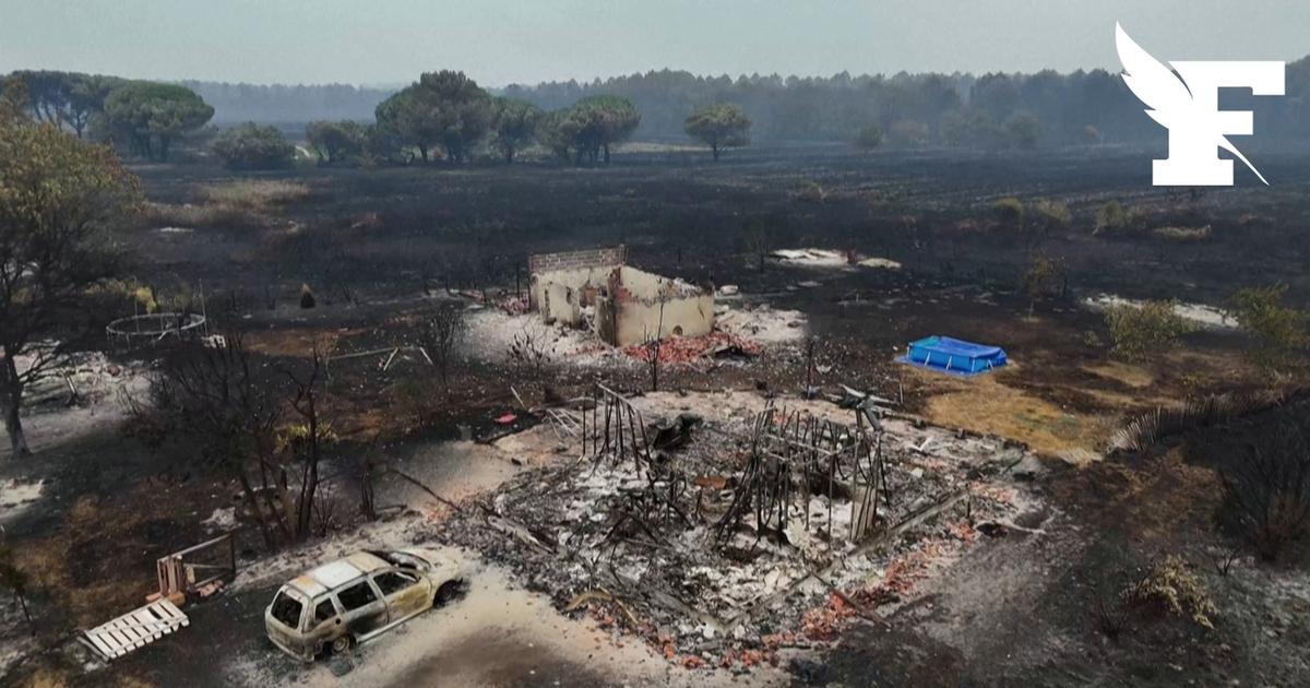 Incendie en Gironde : les images du Porge, complètement dévasté par les flammes