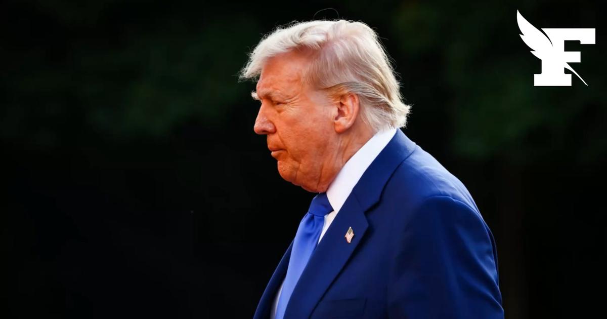 Face au manque de personnel lié au «Shutdown», Donald Trump va déployer des agents de la police de l’immigration dans les aéroports