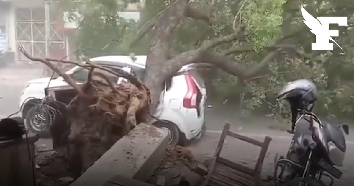 Au moins 96 morts dans une tempête au nord de l'Inde