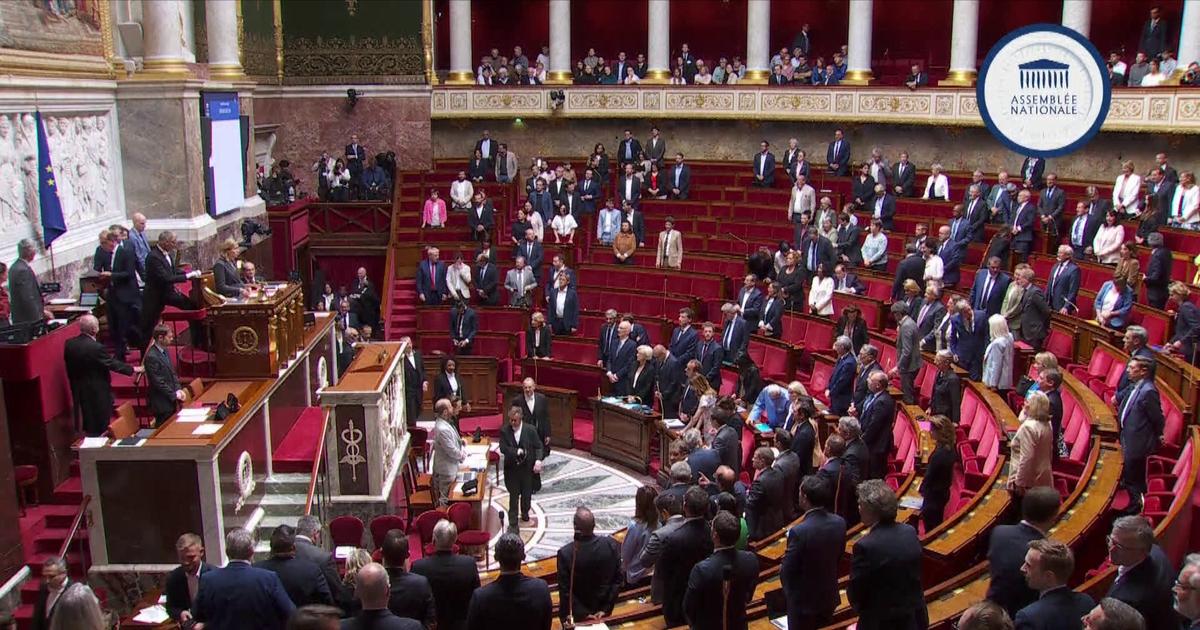 Soldats tués au Liban: l'hommage des députés à Anicet Girardin et Florian Montorio