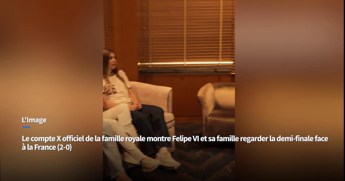 «Un théâtre», «tout est faux» : en Espagne, les images moquées de la joie du roi Felipe VI après la victoire face à la France
