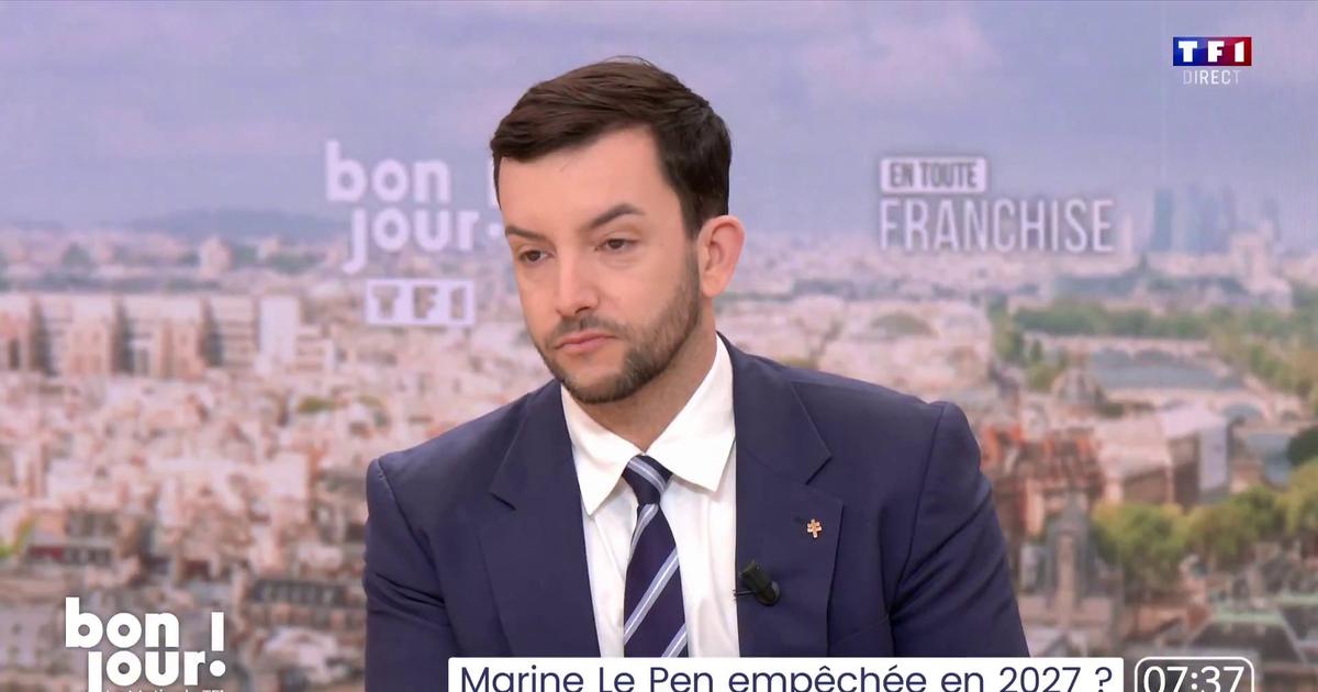 Procès du FN : selon Jean-Philippe Tanguy l’inéligibilité requise contre Marine Le Pen n’est pas une «surprise»