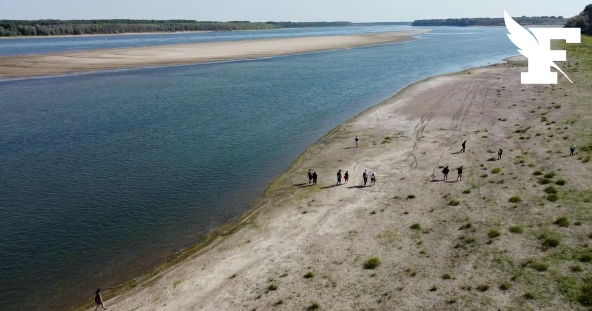 Au bord du Danube, la sécheresse ouvre la voie à la recherche de fossiles de mammouths