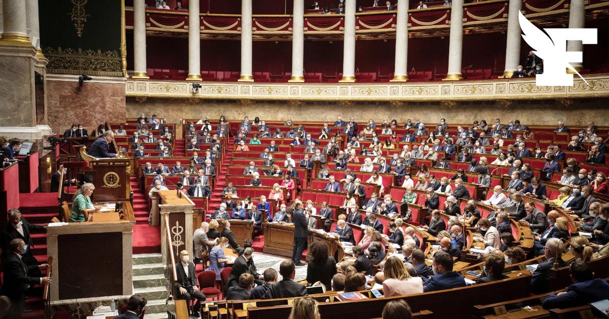 Reconnaissance de la Palestine : la réaction des députés à l'Assemblée nationale