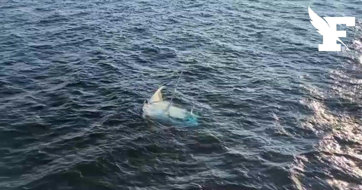 Les images d’un voilier à la dérive au large de l'île d'Yeu, des opérations de recherches en cours