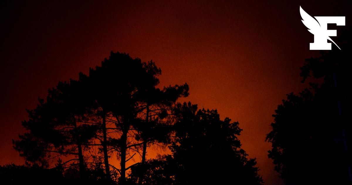 Suivez en direct la prise de parole de la préfète de Gironde au sujet des incendies...