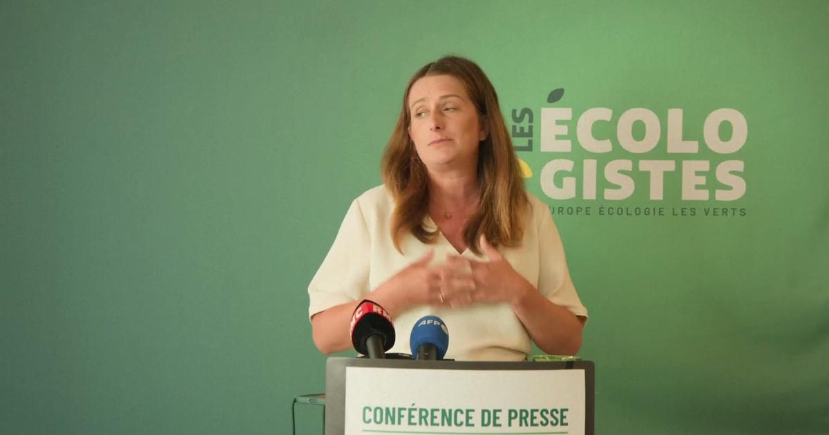 Le groupe les Écologistes «apporte tout son soutien» aux personnes touchées par les incendies en Gironde