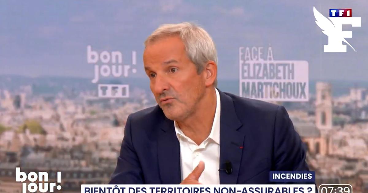 Incendies : «Il y a un vrai risque que des assureurs se retirent des zones les plus exposées», prévient le directeur général de la Maif
