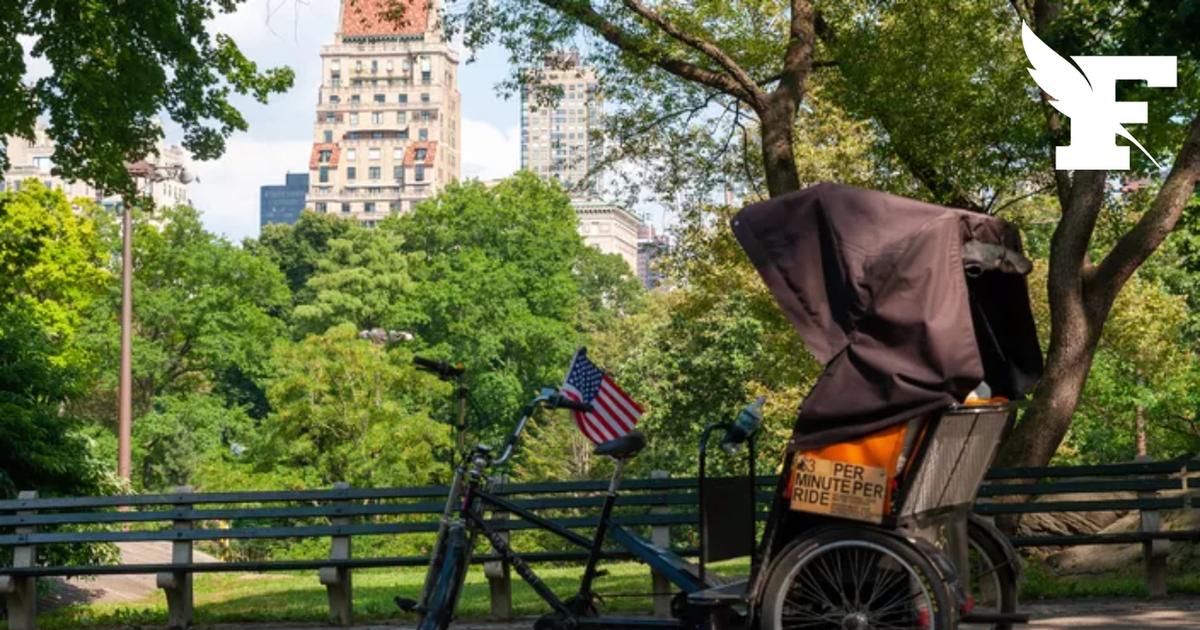 New York: des vélotaxis à 1000 dollars les 20 minutes