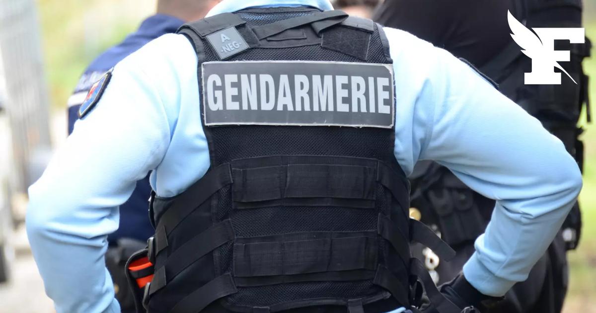 Persuadé que «Macron a été destitué» et qu’une révolution a éclaté, un homme de 82 ans tire sur des gendarmes