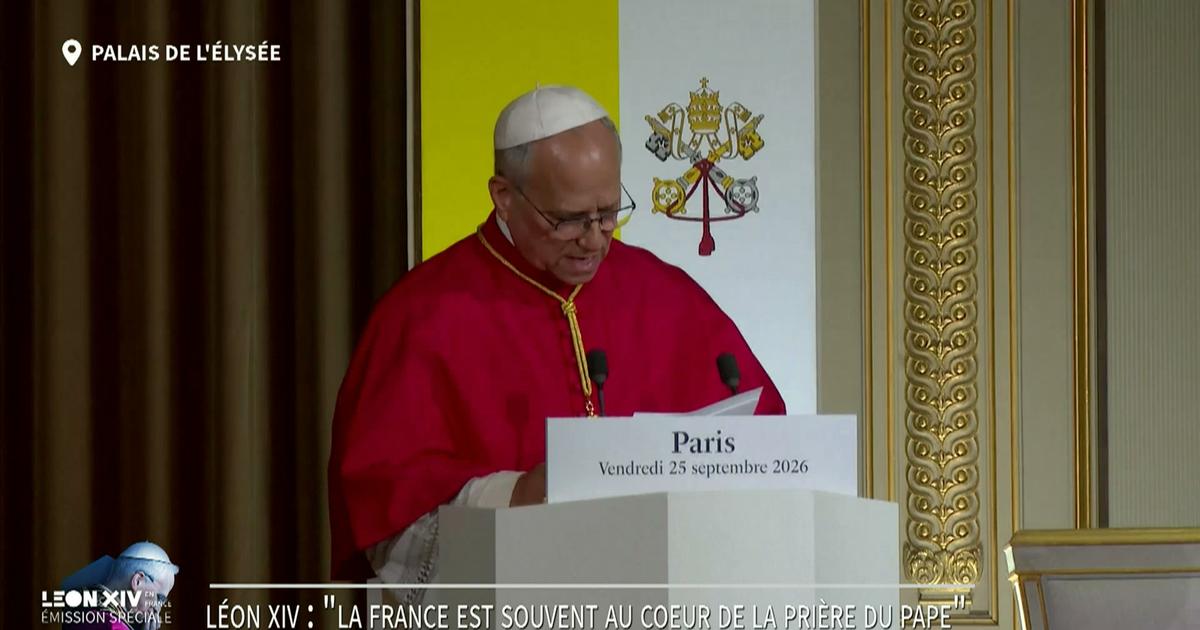Léon XIV réaffirme avec force «le droit à la vie» et dénonce «le détournement de la science» à des fins de «manipulations génétiques»