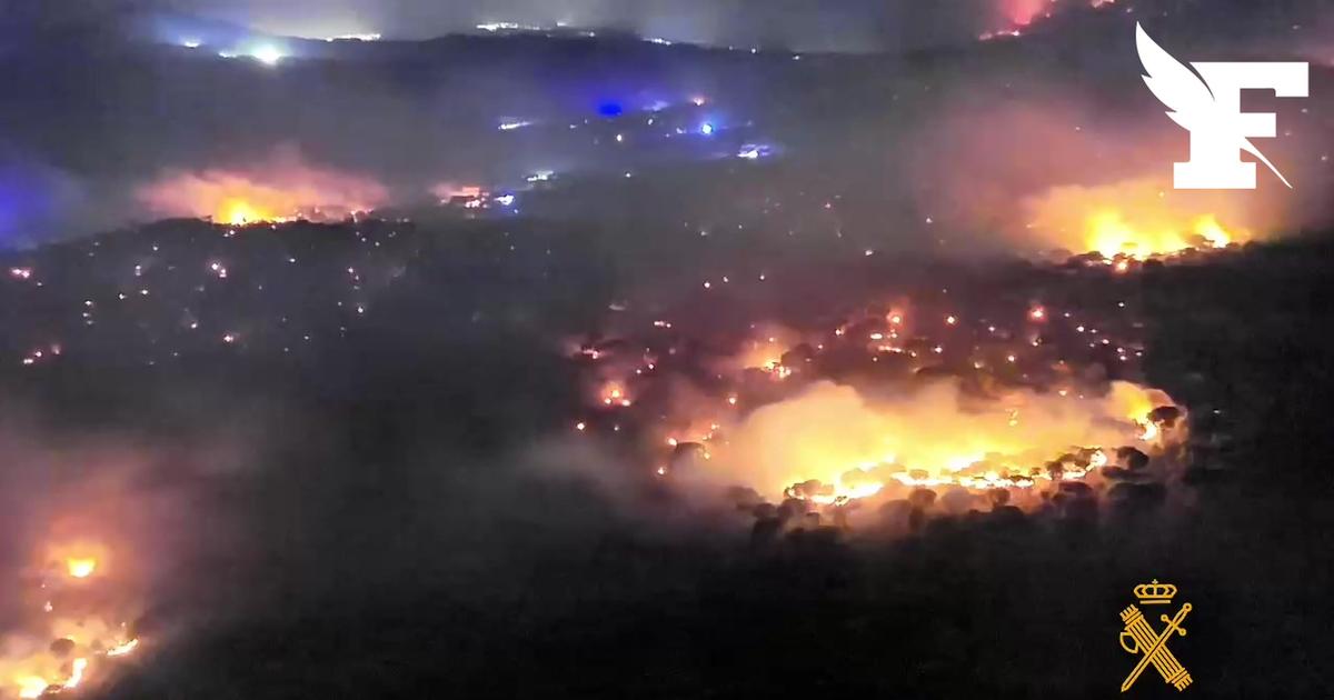 Près de Madrid, les images de l'incendie qui ravage la province d’Ávila, «le plus important feu de forêt» de l'histoire récente du pays