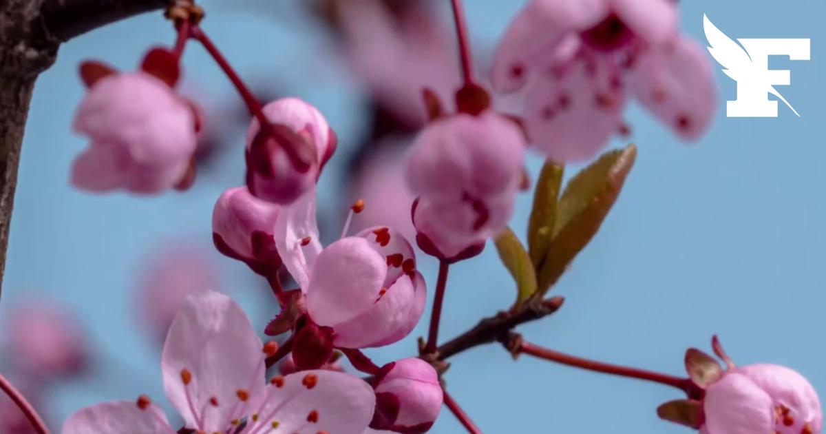 Comment faire son «ménage de printemps»