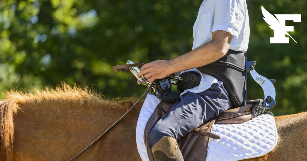 Une adolescente meurt après une chute à cheval dans l'Aveyron