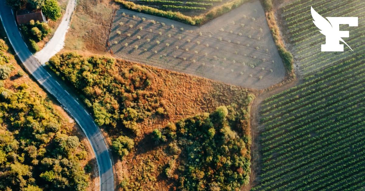 Tour de France 2028 : où se tiendra le départ de la 115ème édition ?