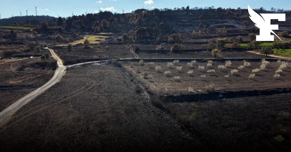 Les images des dégâts provoqués par l'incendie qui a ravagé 900 hectares dans l'Aude