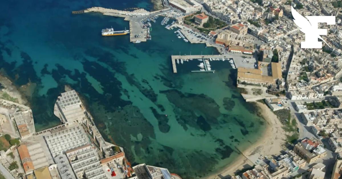 Italie : l'île sicilienne de Favignana mise sur le succès de l’Odyssée pour attirer davantage de touristes