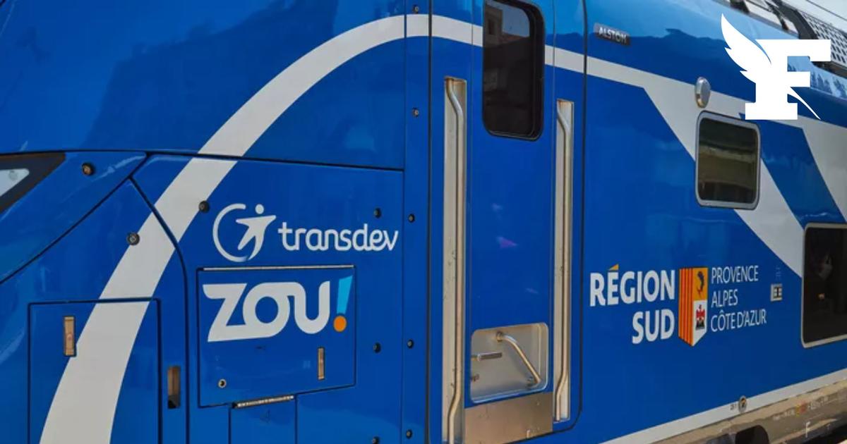 Un conducteur de poids lourd décède après avoir été percuté par un train à un passage à niveau