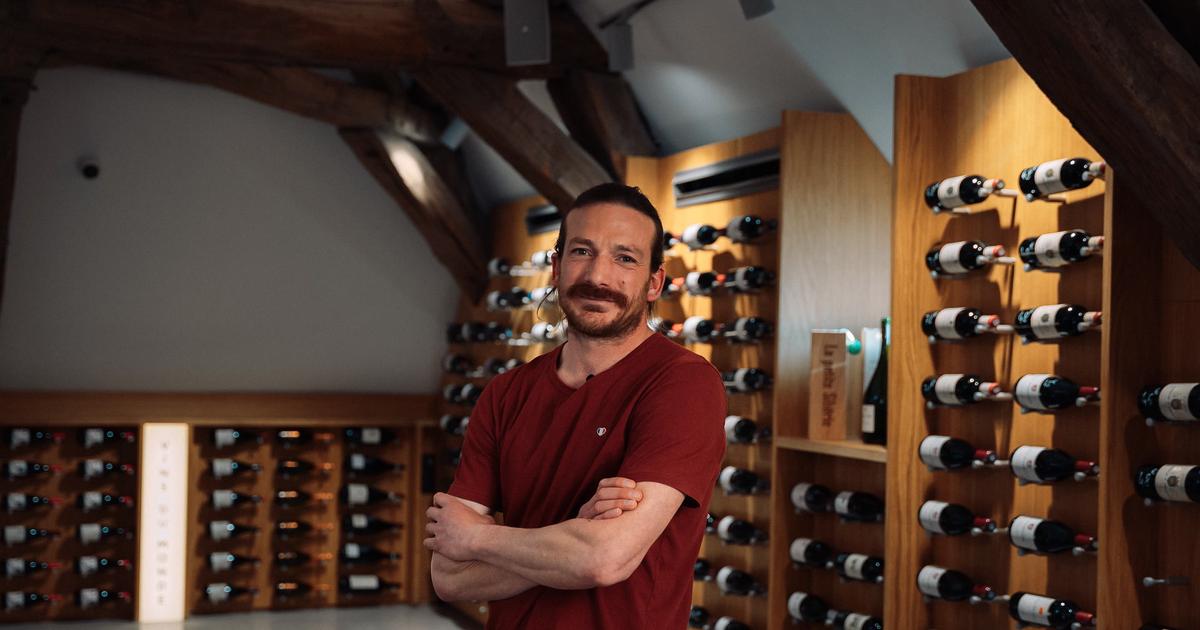Domaines de Demain : au domaine Bruno Clair, planter des arbres pour réinventer la vigne