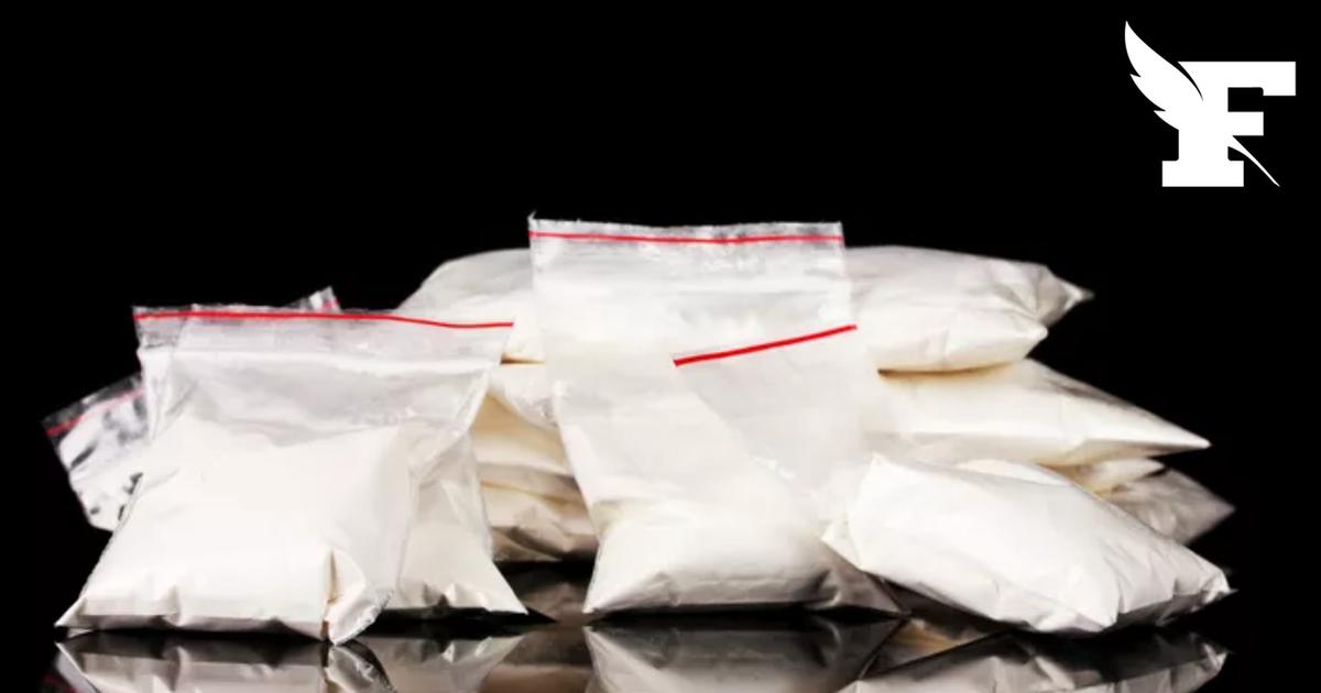 La justice espagnole confirme une saisie record de 30 tonnes de cocaïne d'une valeur de 812 millions d'euros