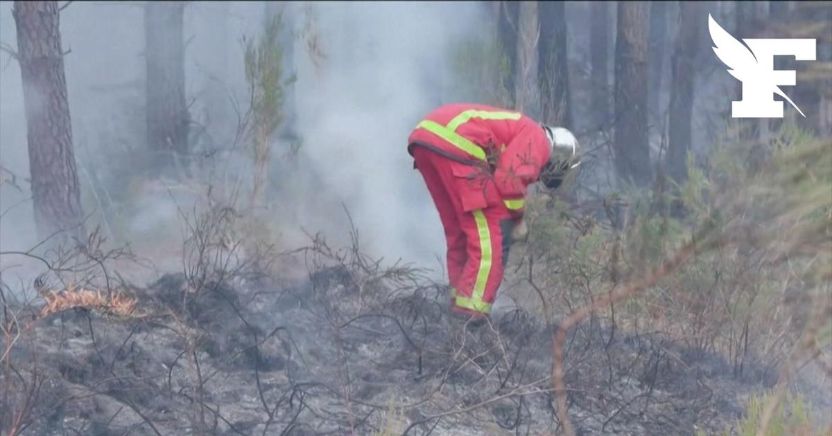 Incendies en Gironde : des pompiers de Paris venus en renfort luttent contre les flammes