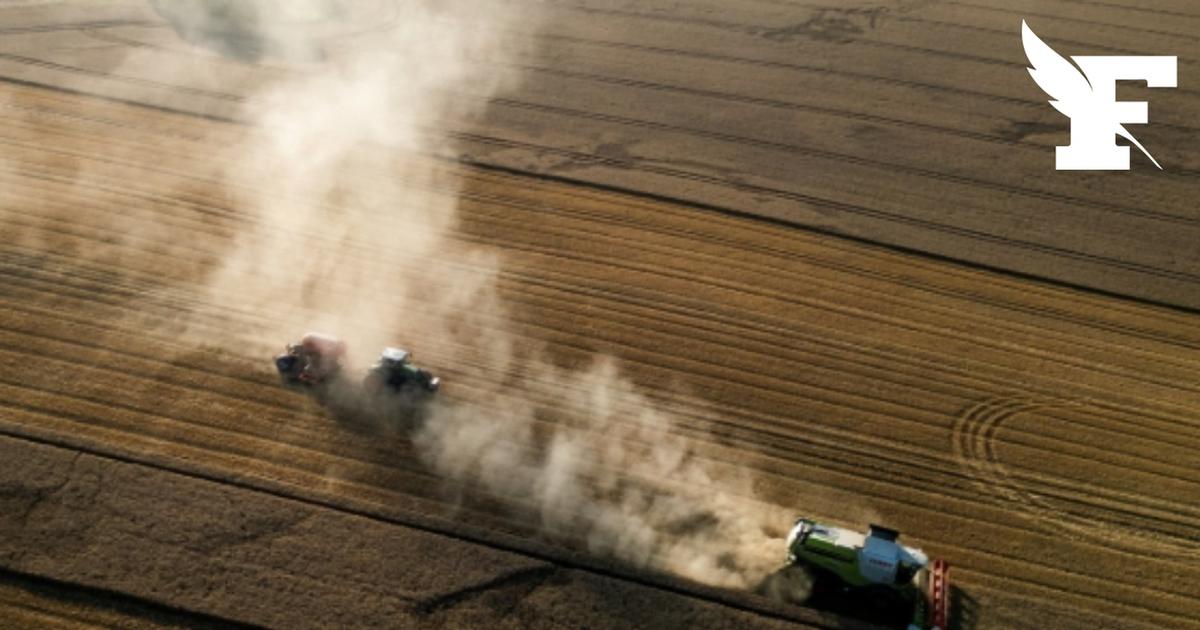 Sécheresse : le gouvernement instaure un plan d'urgence pour les agriculteurs