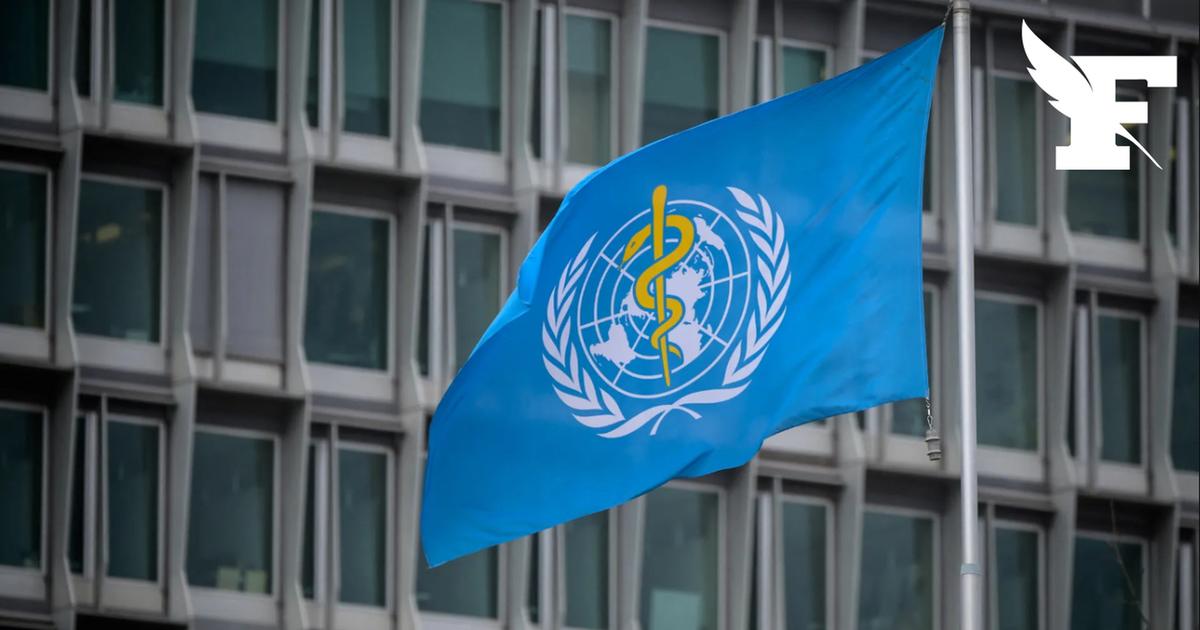 Ebola en RDC : l'OMS espère des essais cliniques de vaccins dès octobre 2026
