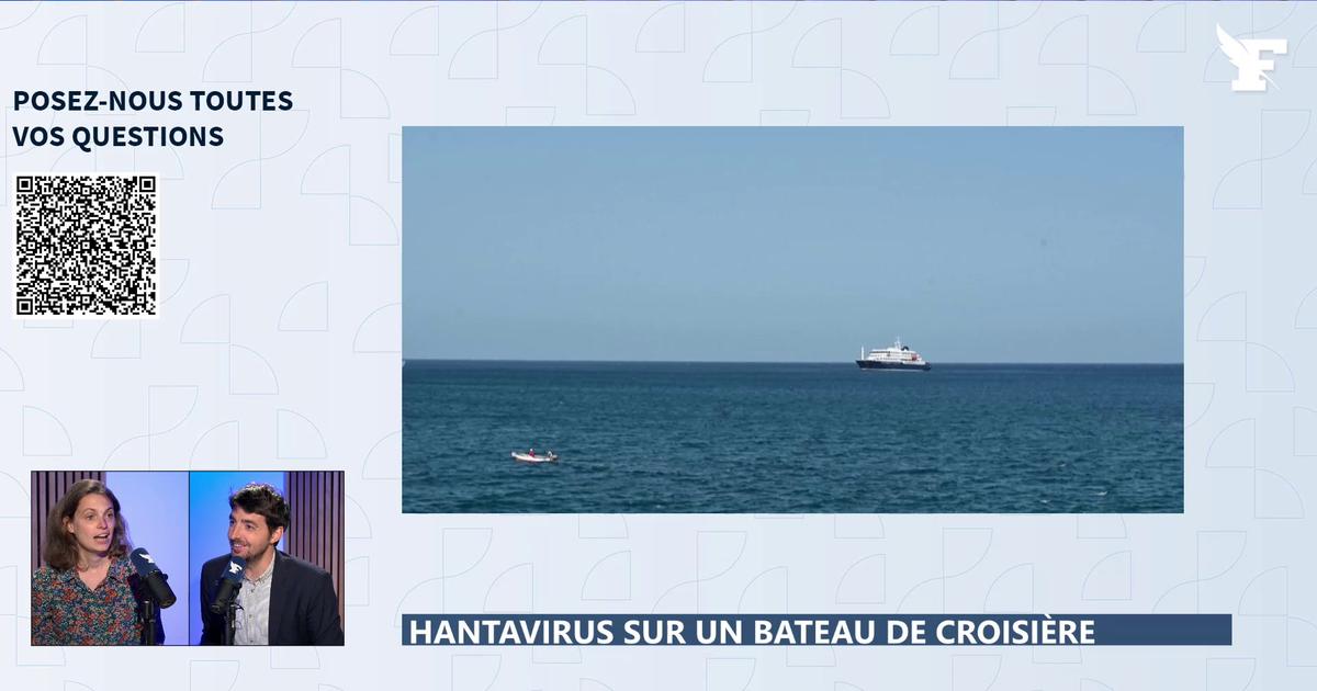 Qu'est-ce qu'un «Hantavirus» ? La réponse de Bénédicte Lutaud