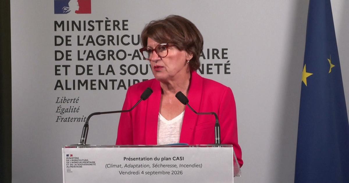 «Cet été notre agriculture a affronté une situation que nous n'avions jamais connu», lance la ministre de l'Agriculture