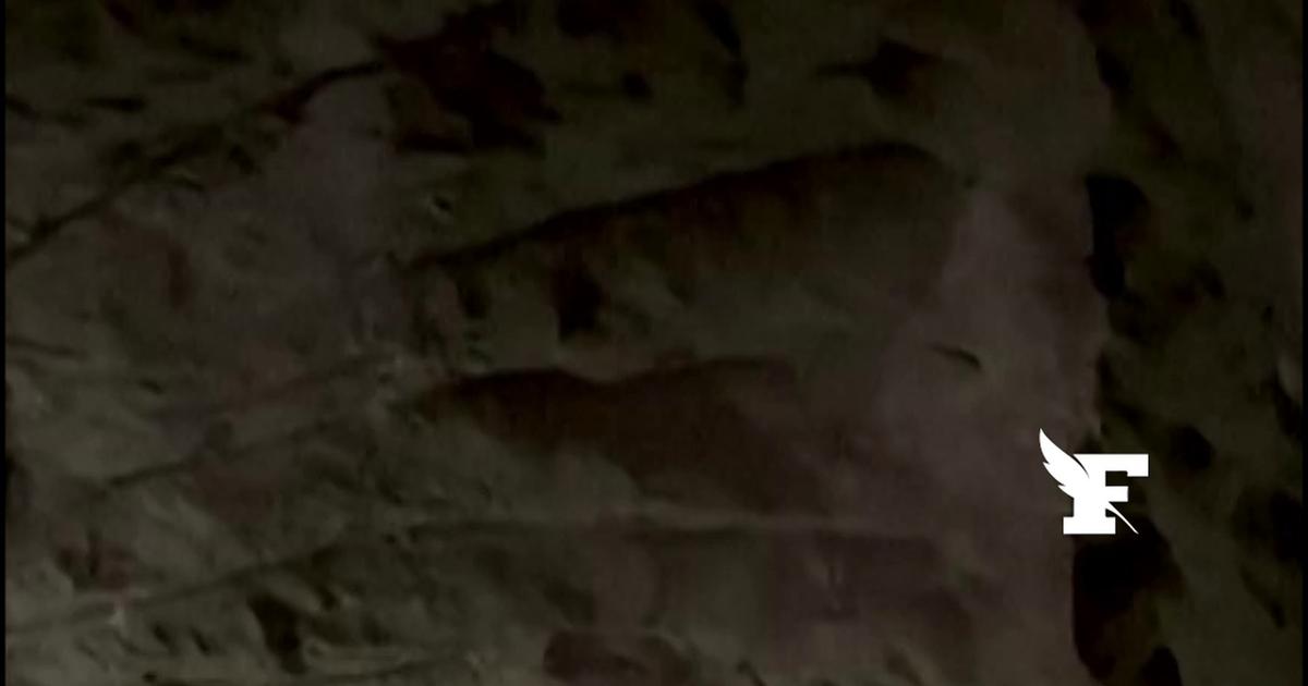 États-Unis: les images impressionnantes d'un tunnel sophistiqué dédié au trafic de cocaïne