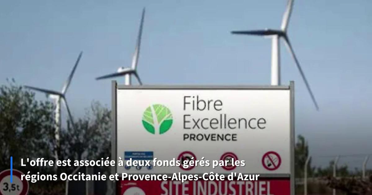 Matthieu Pigasse a fait une offre pour reprendre Fibre Excellence
