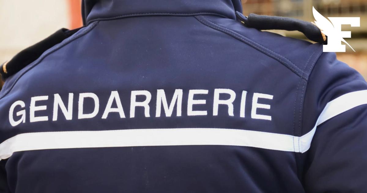 Martinique: la gendarmerie fait une saisie record de plus de 500 kilos de cocaïne