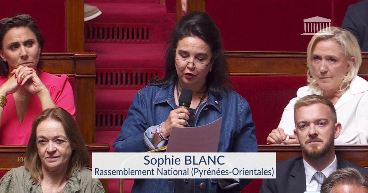 «Voilà votre priorité, préparer la sortie du prédateur», Sophie Blanc (RN) tance la LFI
