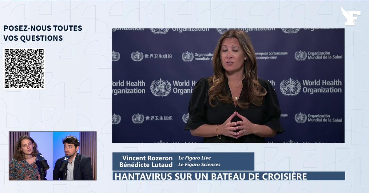 Hantavirus sur un bateau de croisière: Bénédicte Lutaud évoque l'hypothèse de la transmission vers l'humain