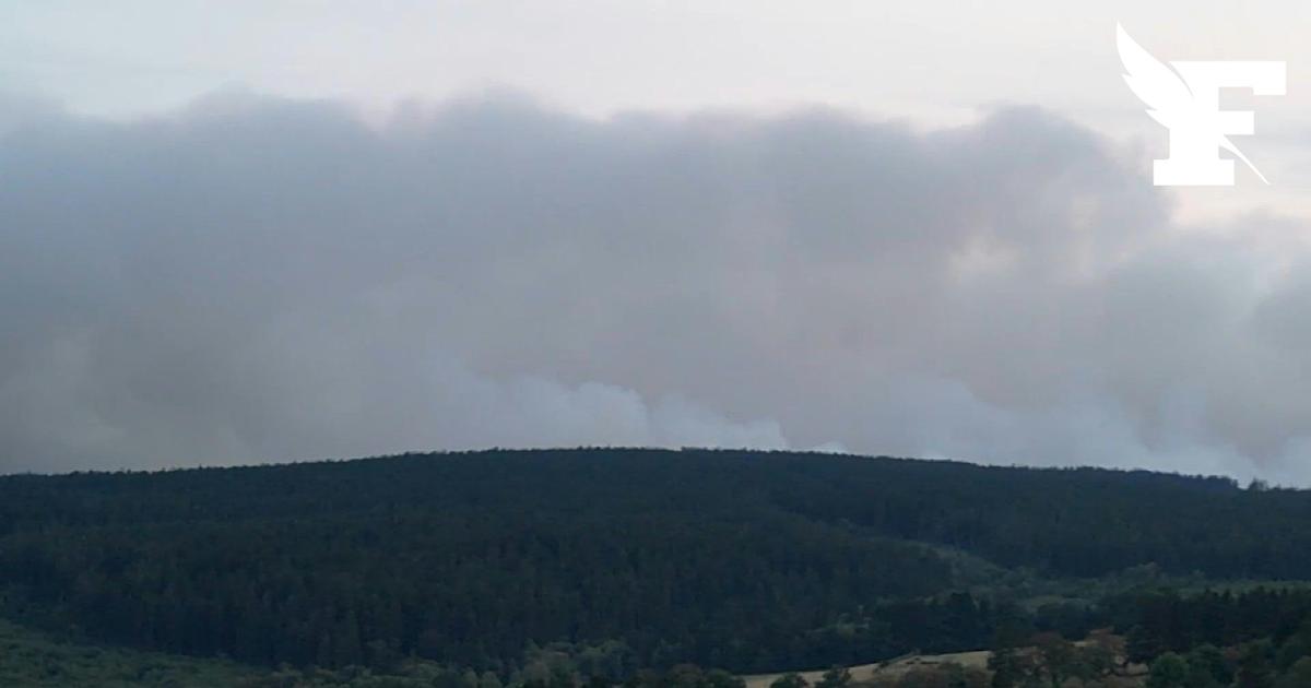 Belgique: les images d'un incendie historique qui se rapproche de l'Allemagne