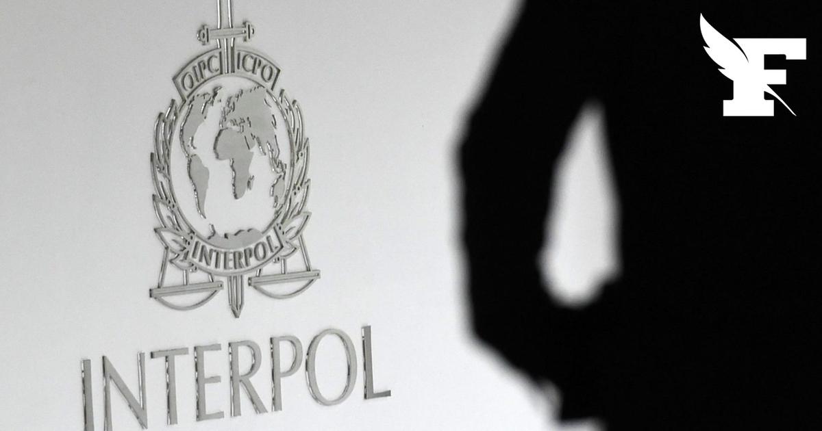 Interpol : 5800 interpellations et 300 millions de dollars saisis à l’issue d’une opération mondiale contre la fraude